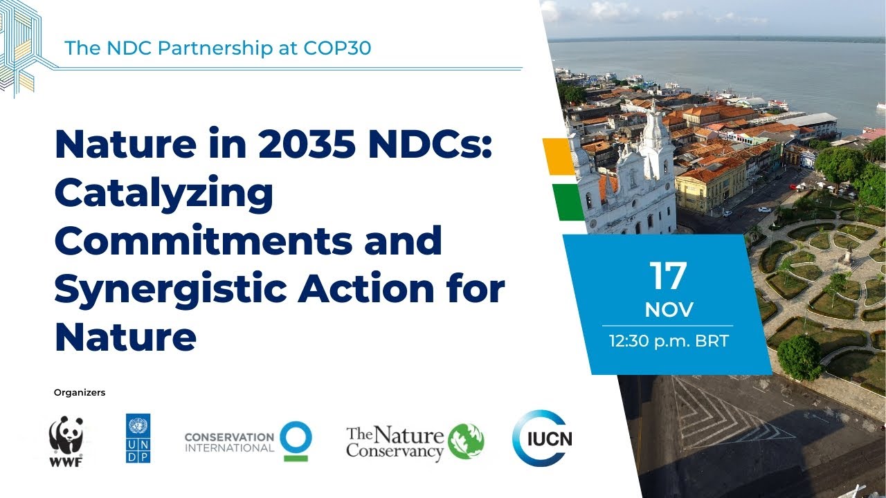 Nature in 2035 NDCs: Catalyzing Commitments and Synergistic Action for Nature