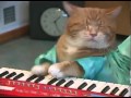 кот обормот 