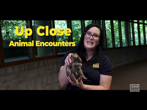 Virtual Field Trip Video