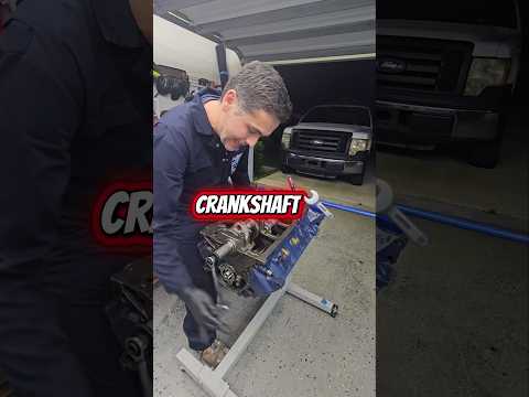 Crankshaft Installation #fordperformance #automobile #car #mechanic #ford302 #crankshaft #mustang