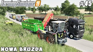 Selling milk, harvesting potatoes, new truck with trailer | Nowa Bruzda | FS 19 | Timelapse #45