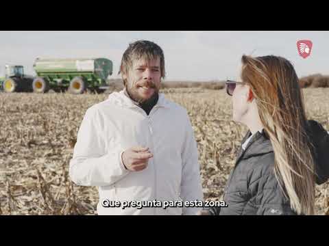El Lote Responde #10: confianza y resultados con IS 7.24 TRECEPTA en La Pampa 🌽