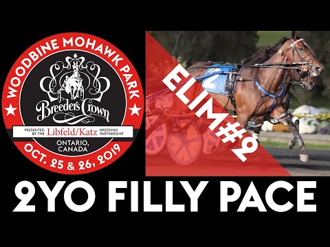 2019 Breeders Crown Elim#2 - New Year - 2YO Filly Pace
