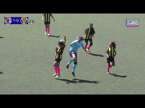 AMAZONAS vs  ZONA NORTE SEMIFINAL FEMENIL MARIPOSAS LIGA 2019