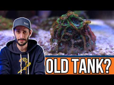 Help! I Wrecked My Tank Ep. 10: "Old Tank Syndrome"