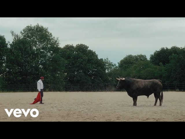 Asake – MCBH (Official Video)