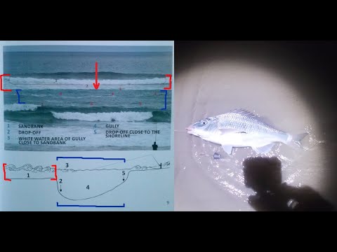 Night fishing for White Steenbras/Kob