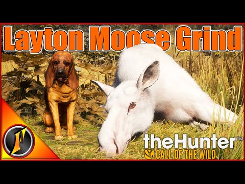 Moving Our Moose Grind to Layton Lakes! | theHunter Call of the Wild