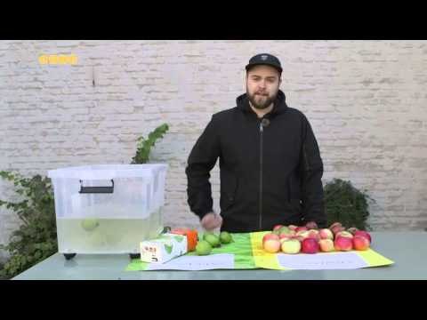 Nørgaards Netfix - Æbler, pærer og flygtninge