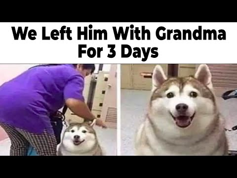 Grandparent Memes