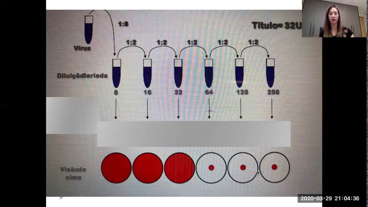 Reação de aglutinação (parte 1)