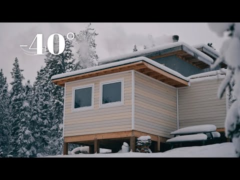 Frozen Cabin. Tough Little Dog