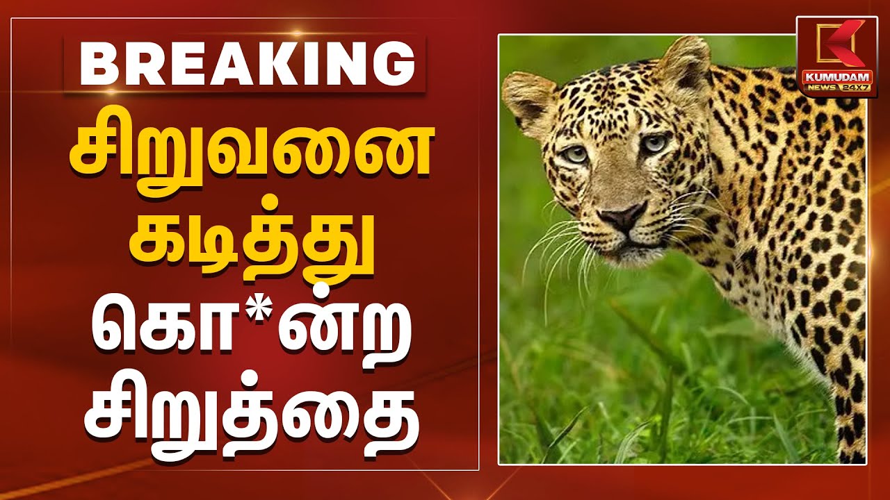 சிறுவனை கடித்து கொ*ன்ற சிறுத்தை | Leopard Attack | Kovai | Kumudam News