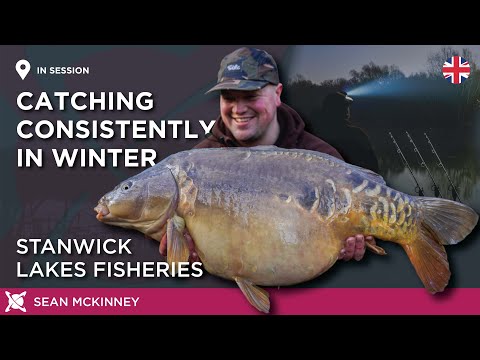 CATCH CARP IN THE COLD! Carp Fishing Winter LIVE Session! Mallard Lake Stanwick Lakes