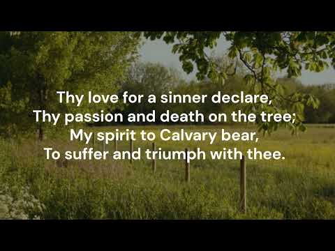 Thumbnail for Thou Shepherd of Israel, And Mine video