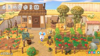 【ハピパラ】とめさんの家庭菜園で初めての和風コーディネート🍅🥕【パラ森】#12 実況