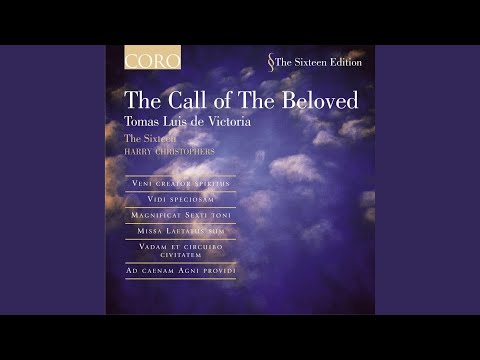 Vadam et circuibo civitatem a 6