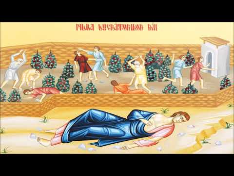 ÎPS Bartolomeu Anania - Predică la Duminica a 13-a după Rusalii - Pilda lucrătorilor răi