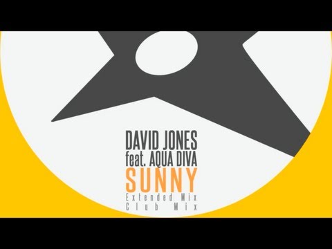 David Jones feat. Aqua Diva - Sunny (Extended Mix)