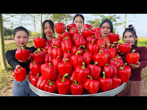 Amazing cooking steamed chili with pork and rice recipe
