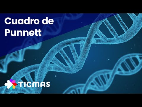 Cuadro de Punnett explicado en minutos
