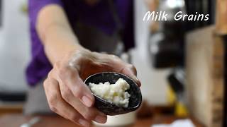 Make & Enjoy Milk Kefir - Effective Gut Remedy