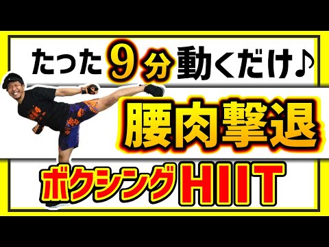 【 腰肉撃退 HIIT 】 格闘技 の動きで 高強度 インターバルトレーニング エクササイズ【 ダイエット 】 ボクササイズ で 全身脂肪燃焼 内臓脂肪を落とす!!【 マンションOK 】