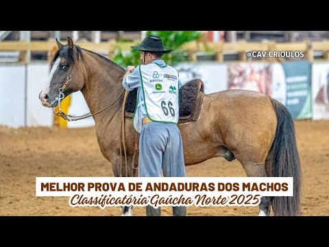 Rival da Dom Manoel • Melhor Prova de Andaduras dos Machos na  Classificatória Gaúcha Norte 2025