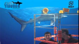 DIA 3 Expo Tiburon139