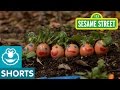 Sesame Street G Is For Garden
