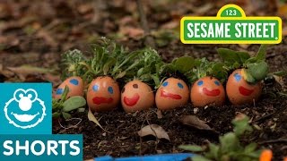 Sesame Street: G is for Garden