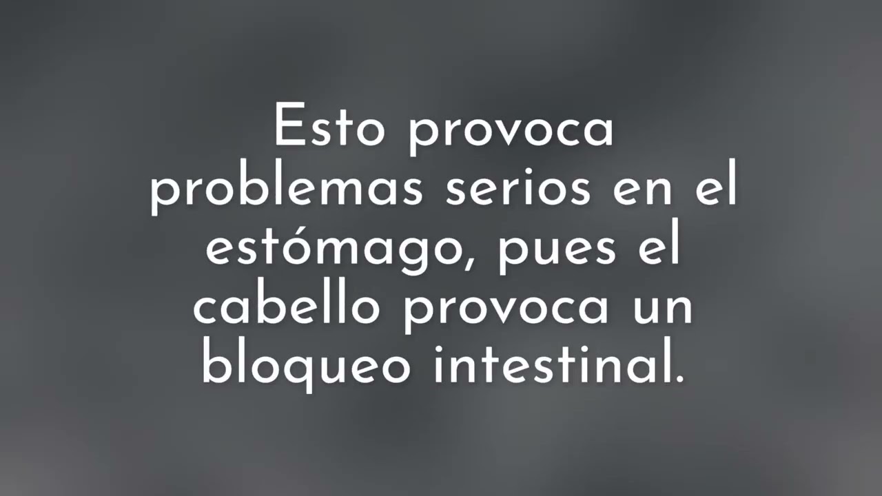 Johanna Diaz Prieto-17