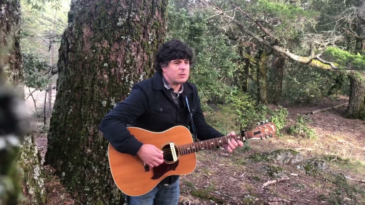 Promotional video thumbnail 1 for Mike Saliani