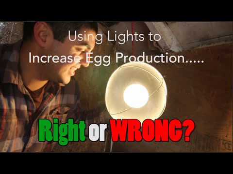 , title : 'Is Using Supplimental Light for Egg Production in Winter "UNNATURAL?"'