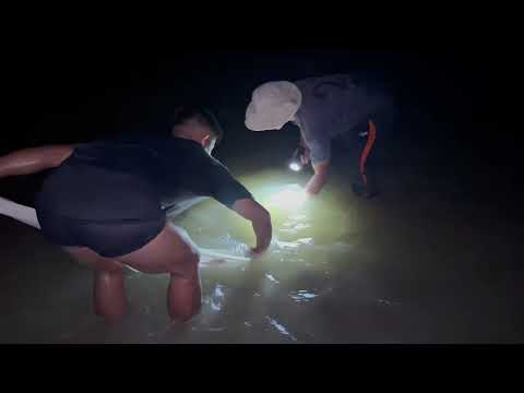 Net Casting in Total Darkness | Big Surprise | Barak River |