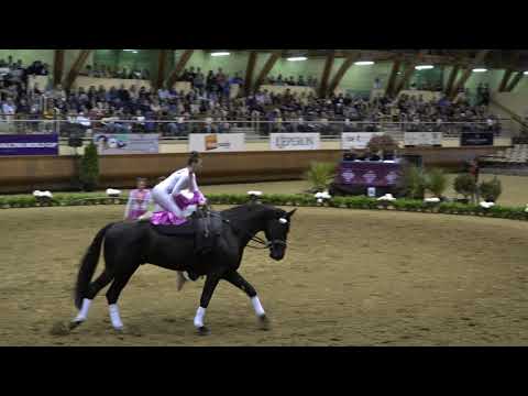 Junior Team Nordheim 1