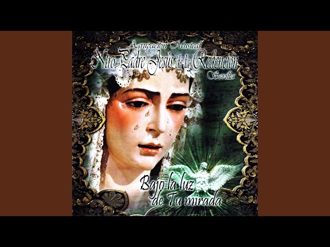 Bajo la Luz de Tu Mirada