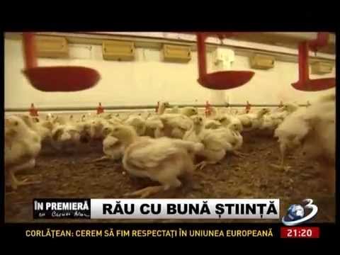 Otrăviţi cu bună ştiinţă!