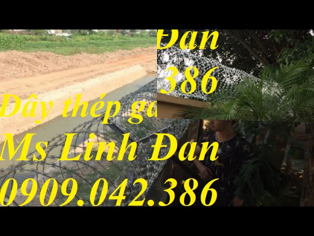 Dây thép gai hình dao mạ kẽm, dây thép gai hình dao inox