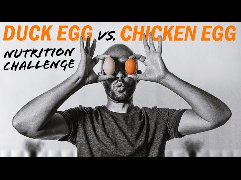 Duck Eggs Vs. Chicken Eggs | A Carnivore Diet Taste & Nutrition Challenge