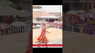 Download lagu Moment ganongan failed to jump horse MARGO BUDOYO Live Ja'an Gondang Nganjuk mp3 Download lagu Moment ganongan failed to jump horse MARGO BUDOYO Live Ja'an Gondang Nganjuk mp3