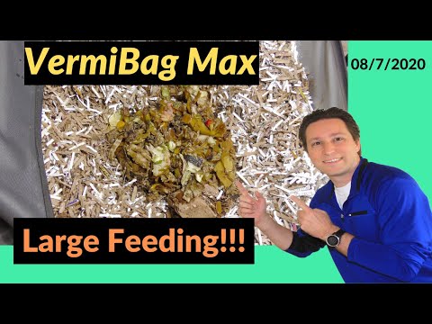 Vermibag Max Large Feeding 08/07/2020