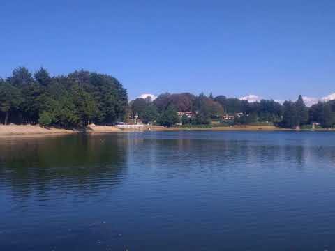 Flavones - Wikipedia Article Audio