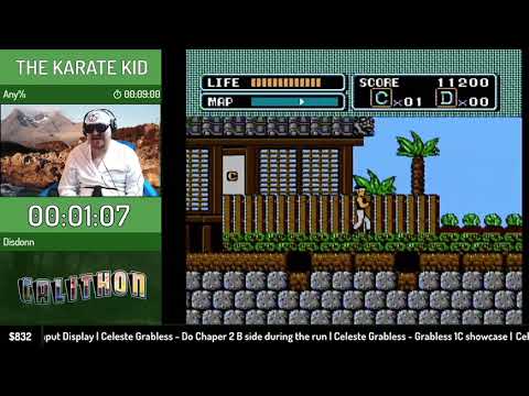 MFSB2020 - The Karate Kid (Any%) by Disdonn