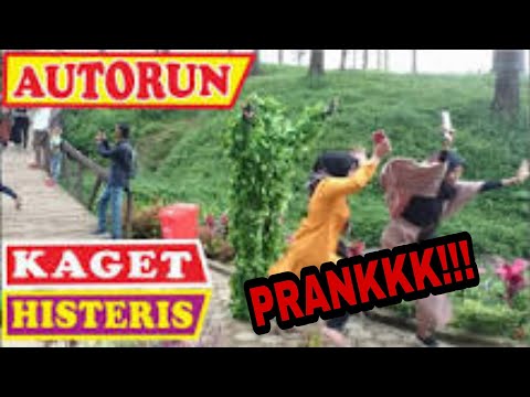 Kaget Kena PRANK POHON!!Sampe Jatuh Pingsan
