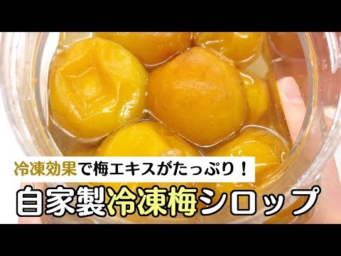 【冷凍効果！？】自家製&rdquo;冷凍&rdquo;梅シロップの作り方〜梅を冷凍するとエキスがでやすい！〜