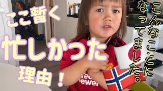 【北欧生活】【アラフォー、北欧で大学生になる】2024年我が家はこんな事になってました🇳🇴｜アラフォー大学生｜ワーママ、北欧の大学にいってみる