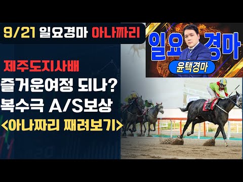 9/21 일요-윤택-경마 아나짜리 지난번 우리 물먹인놈들..A/S보상 받겠습니다