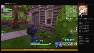 フォートナイトやります！！1つづき