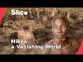 The Endangered World Of The Mikea The Last Forest People Of Madagascar SLICE